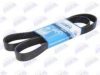 VOLVO 20430611 V-Ribbed Belts